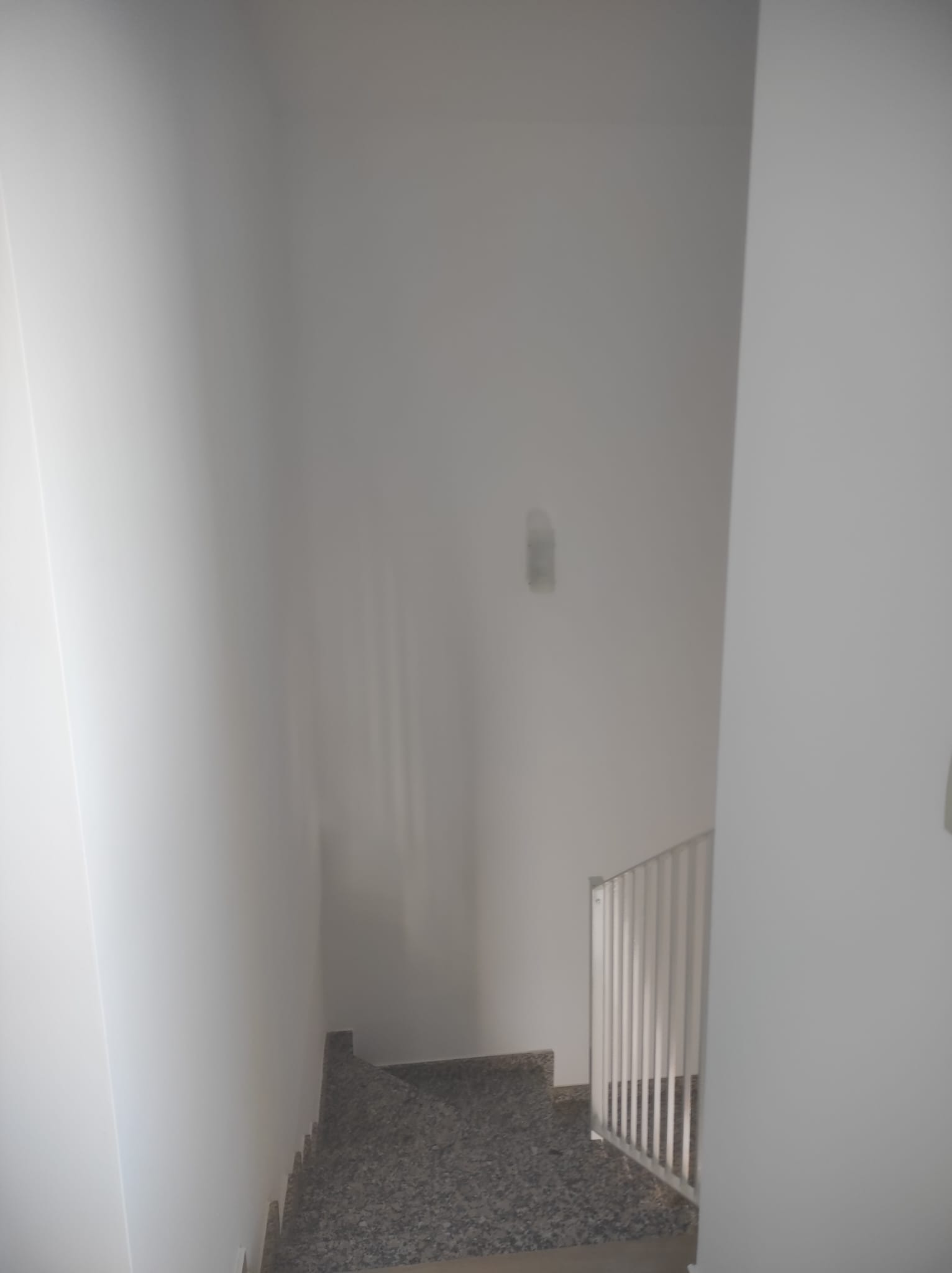 50036_WhatsApp Image 2025-05-22 at 18.50.19 (2).jpeg